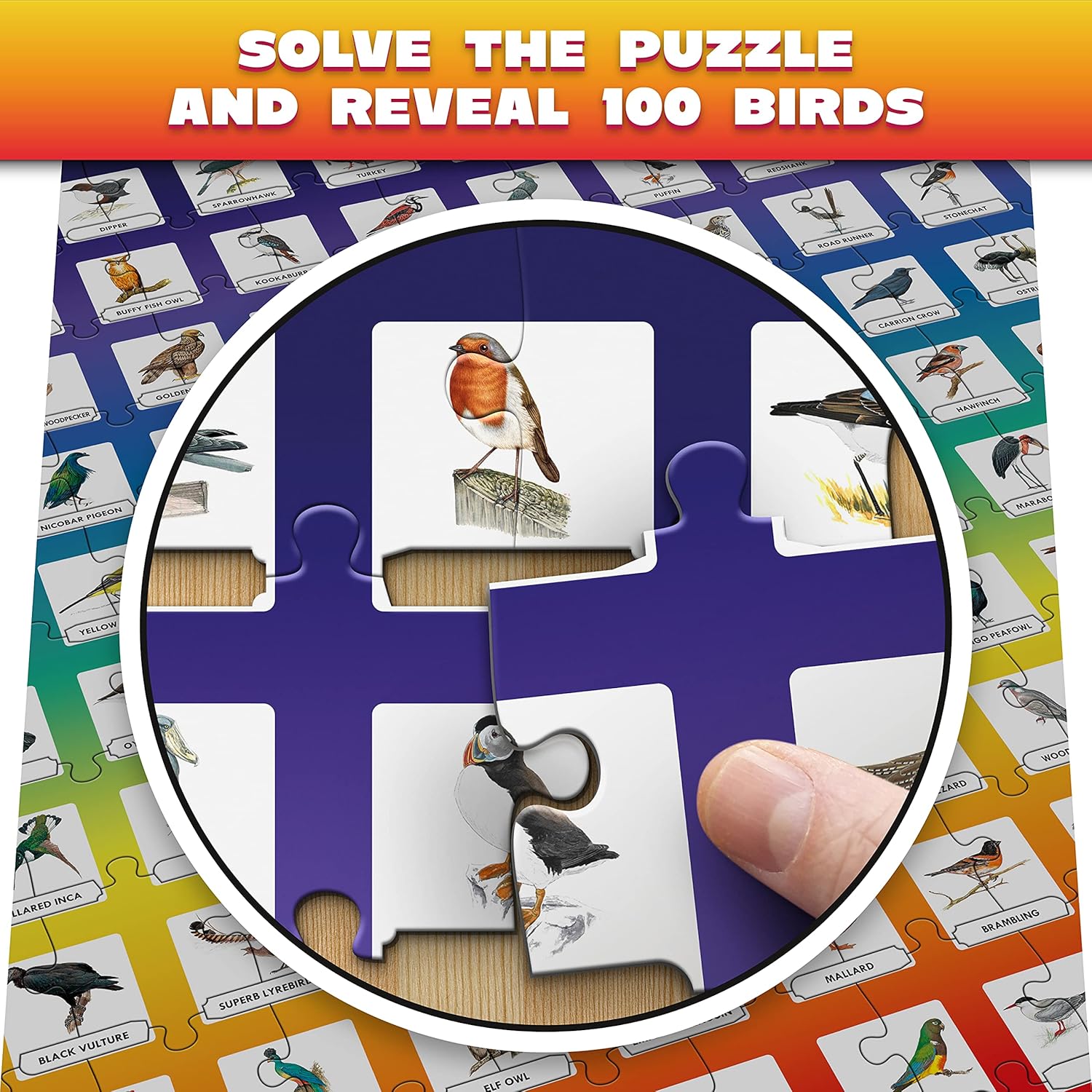 100 PICS Birds Jigsaw Quiz | Family Puzzle + Fun Quiz | 1-8 Players | Large Table Game | 45 Minutes Playing Time-3