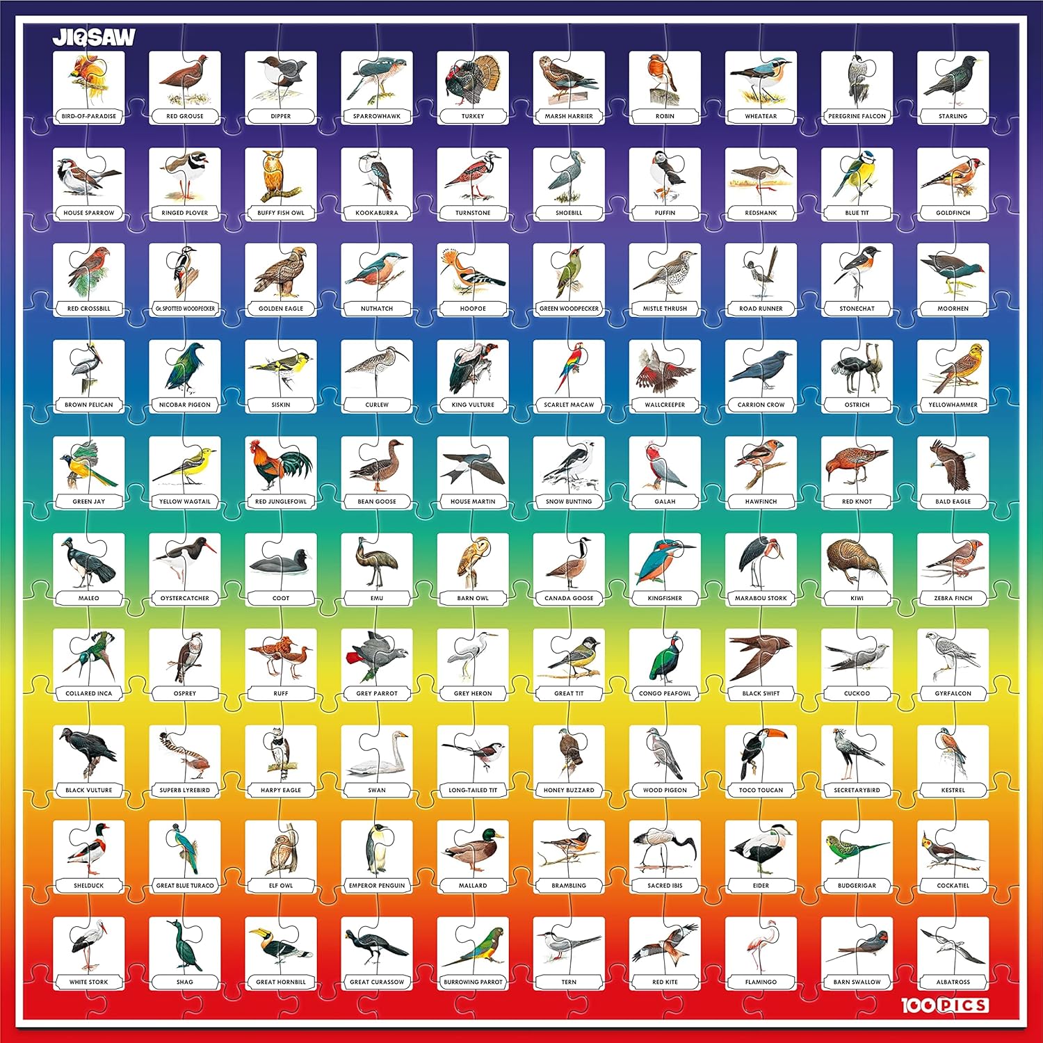 100 PICS Birds Jigsaw Quiz | Family Puzzle + Fun Quiz | 1-8 Players | Large Table Game | 45 Minutes Playing Time-7