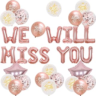 JOYMEMO We Will Miss You Decorations Rose Gold - We Will Miss You Banner, Star Foil Balloon, Good Luck Balloons for Farewell Retirement Going Away Office Work Leaving Party Supplies