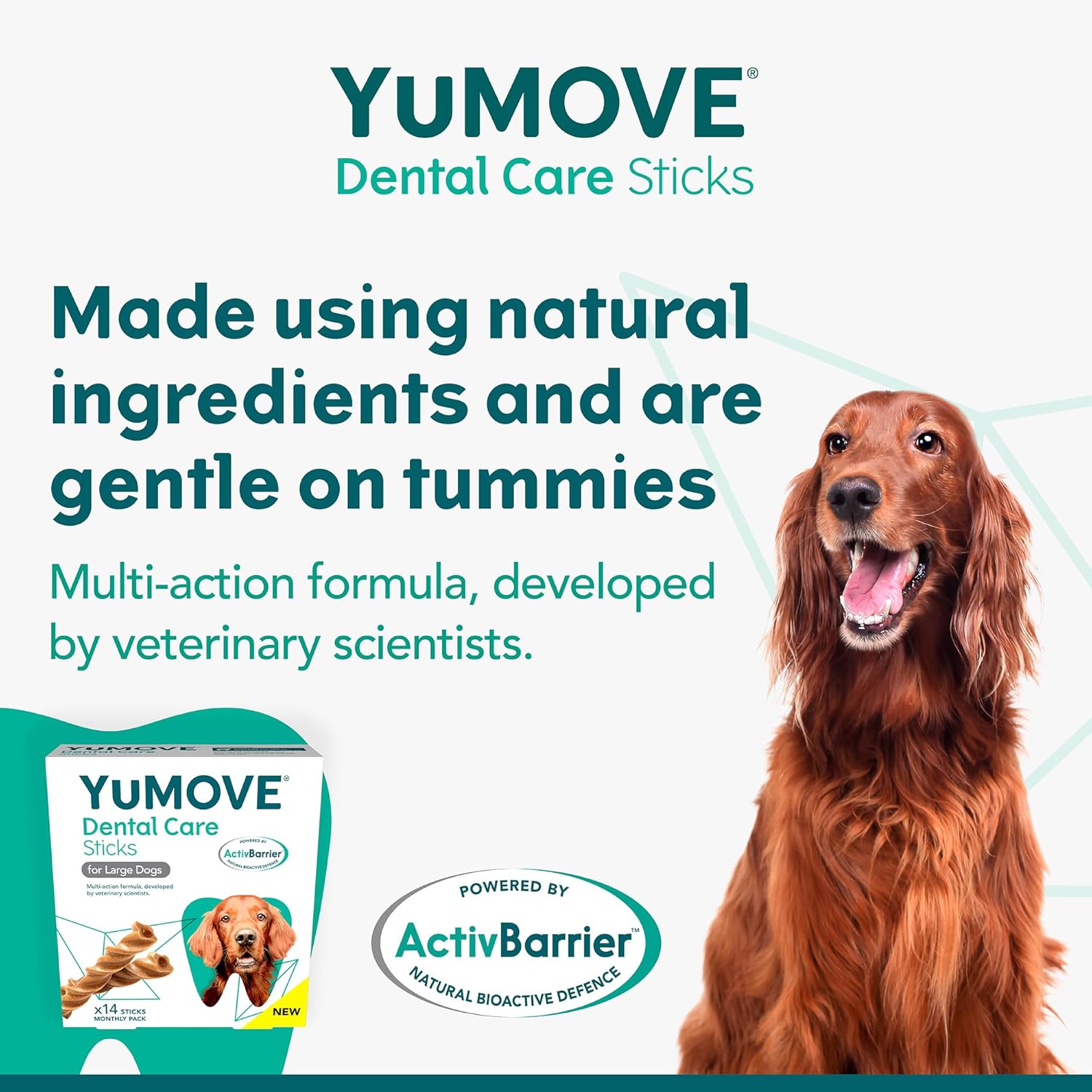 YuMOVE Dental Care | Dental Sticks for Large Dogs | 14 Pack | Tasty Chews with Natural Ingredients which Target Plaque & Freshen Breath-2