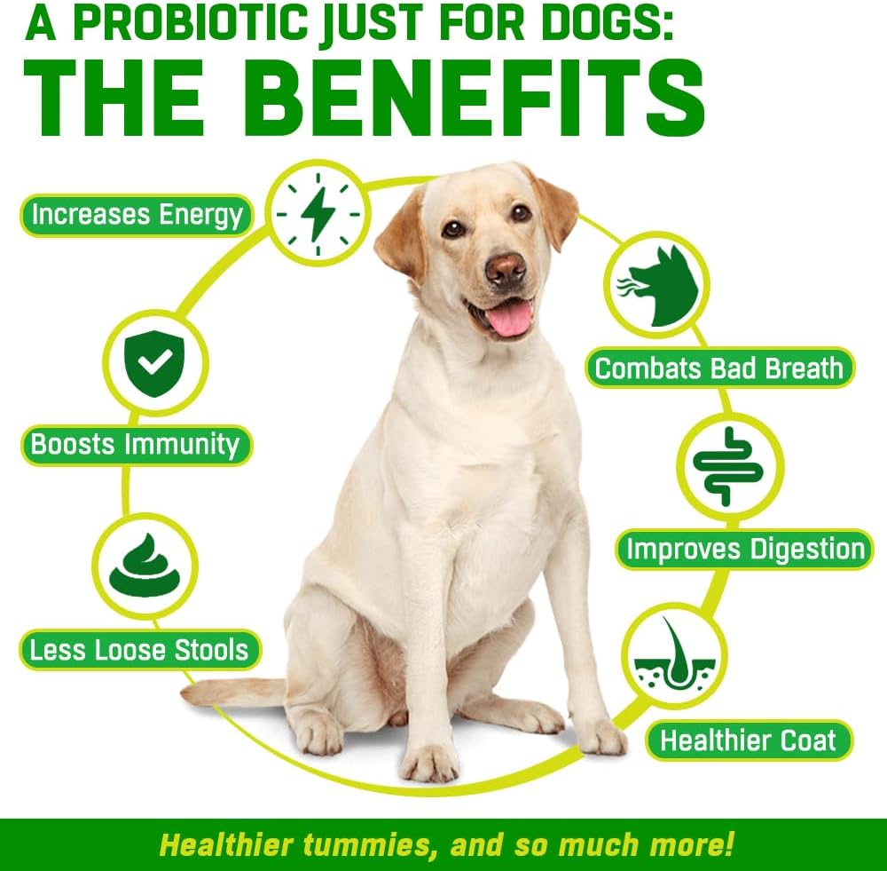 CANIVET Probiotics for Dogs. Canine Dietary Supplement - Aids Digestive Health, 200g Powder Dog Probiotic. 5 Billion CFU** with 10 Strains of Good Bacteria for your Dog's Digestive Health.-1