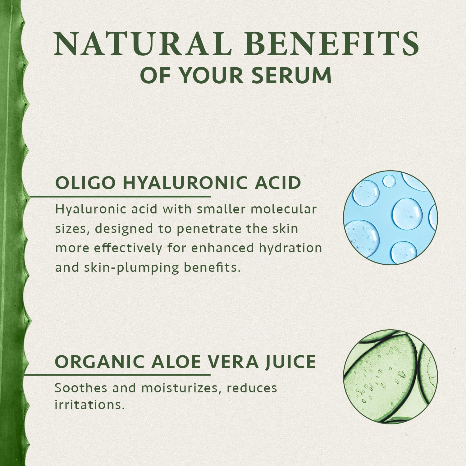 Oligo Hyaluronic Acid Serum for Face 50ml, Face Serum Skincare for a Rejuvenated Skin - Collagen Serum for Face with Organic Aloe Vera for Sensitive Skin - Vegan Skin Care by Satin Naturel-3