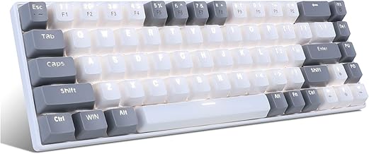 MageGee Portable 60% Gaming Mechanical Keyboard, Minimalist MK-Box Ice Blue Backlit Compact 68 Keys Wired Office Keyboard with Red Switch for Windows Laptop PC Mac Convenient(Gray & White)