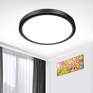 inShareplus 9inch LED Flush Mount Ceiling Light Fixture, 18W [180W Equiv] Daylight White 5000K Black Thin Flat Modern Ceiling Lights, 1800LM Super Bright Ceiling Lamp for Bedroom, Office, Kitchen