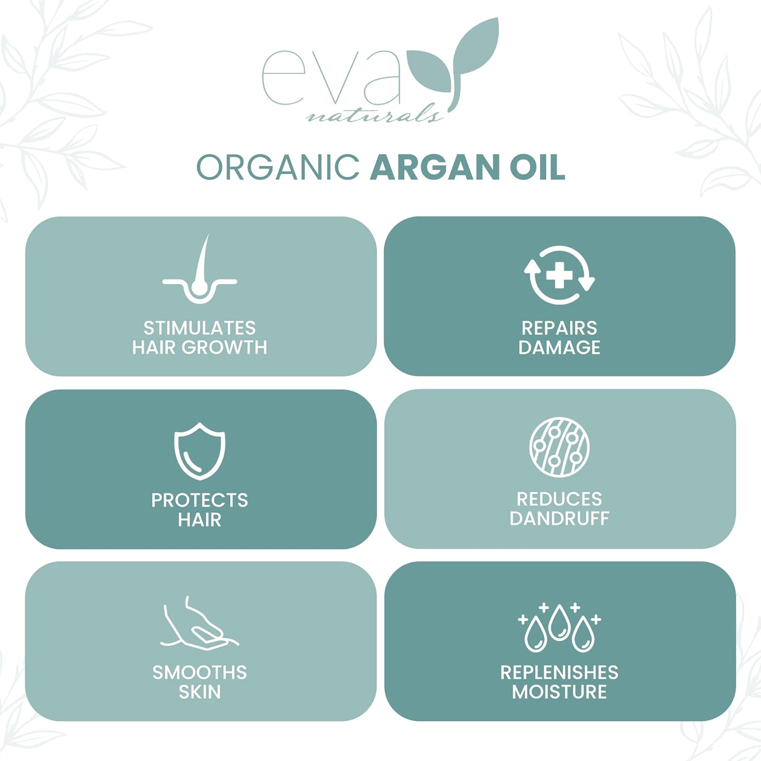 Eva Naturals USDA Certified Organic Morrocan Argan Oil - 100% Pure, Cold Pressed Hair, Nails, Face & Skin Moisturizer - Unrefined, All Natural, Rich Carrier Oil For Dry and Damaged Hair - 2 Oz…-1