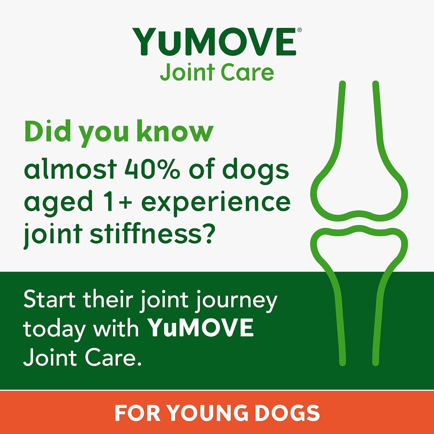 YuMOVE Daily Bites For Young Dogs | Joint Supplement for Dogs to Support Active and Growing Joints for Dogs Aged Under 6 Years | 60 Chews-1