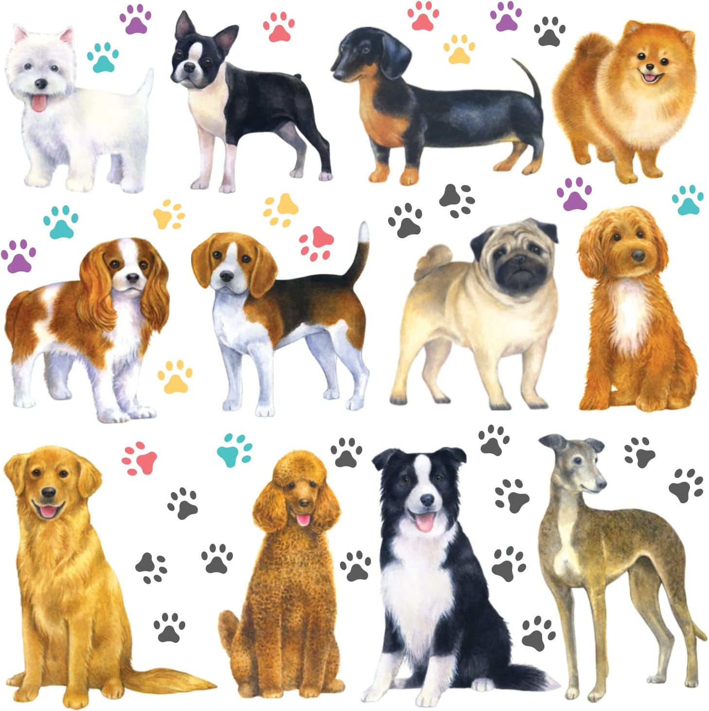 DECOWALL DS-8045 12 Dogs Wall Stickers Puppy Pet Paw Print Learning Dog Breed Decals for Kids Nursery Bedroom Living Room Art-0