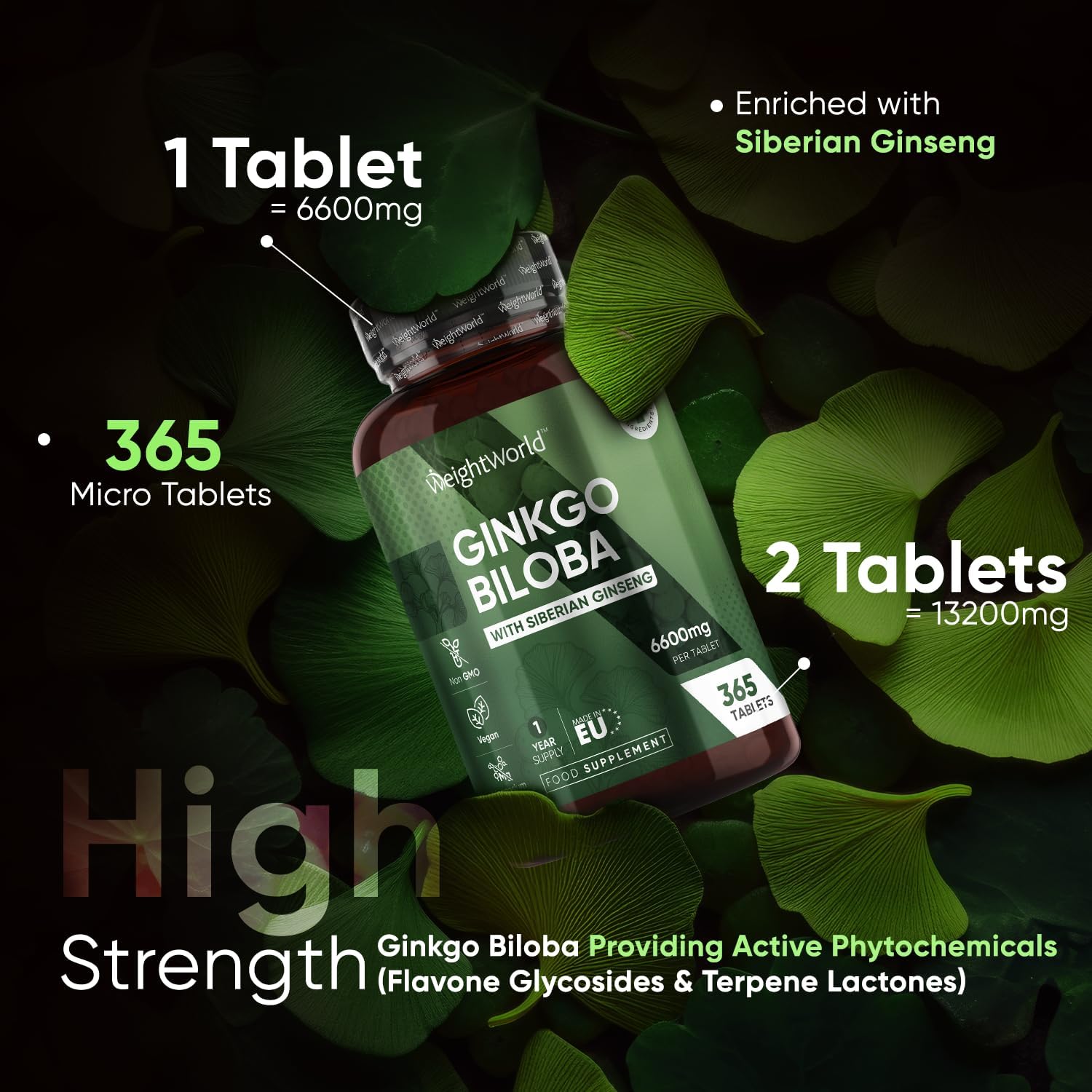 Ginkgo Biloba 6000mg & Ginseng 600mg per Tablet - 365 High Strength Vegan Ginkgo Biloba Tablets - 28.8mg Flavone Glycosides and 7.2mg Terpene Lactones - Siberian Ginseng & Ginkgo Biloba-1