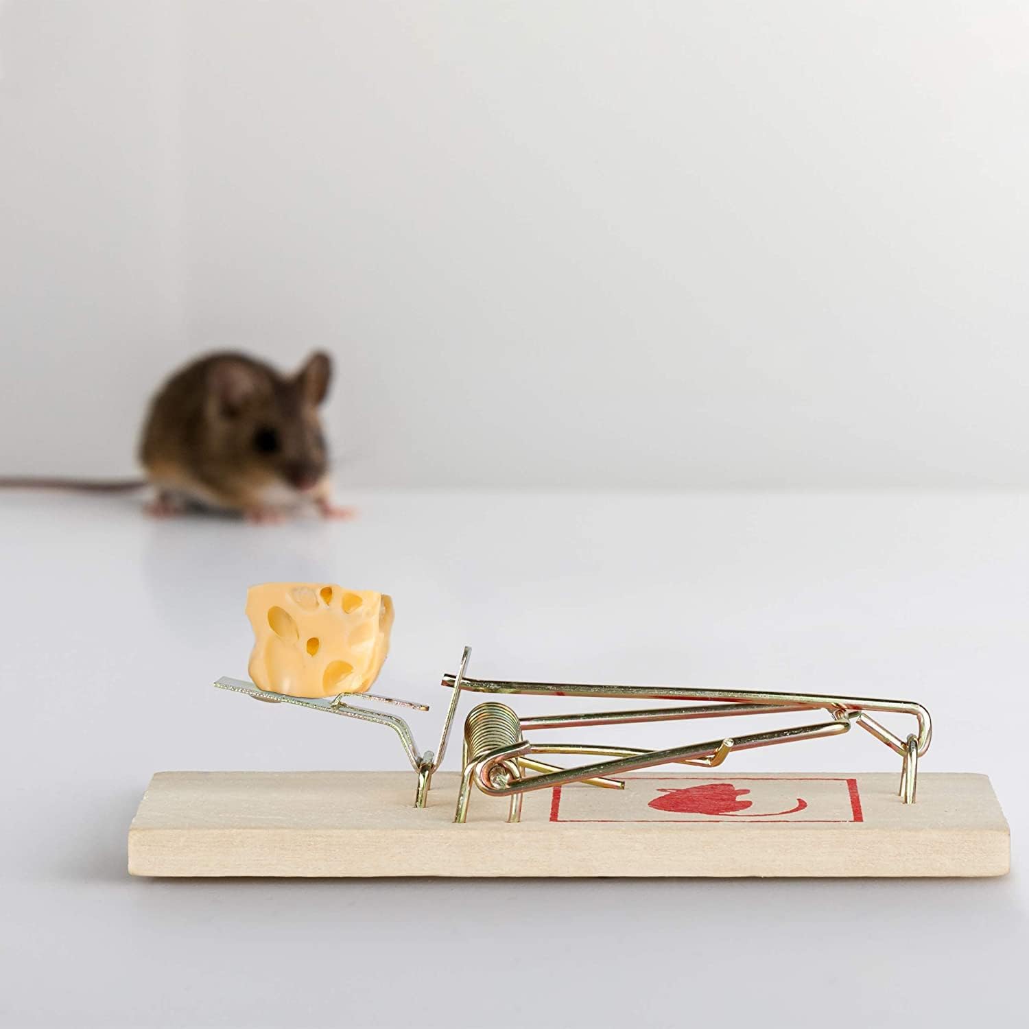 FERRIS | 8pk Wooden Mouse Traps for Indoors, Quick and Effective Rodent Control | Strong Traditional Little Nipper Mouse Traps | Durable & Reusable Traps for Protecting Areas in Your Home and Office-6