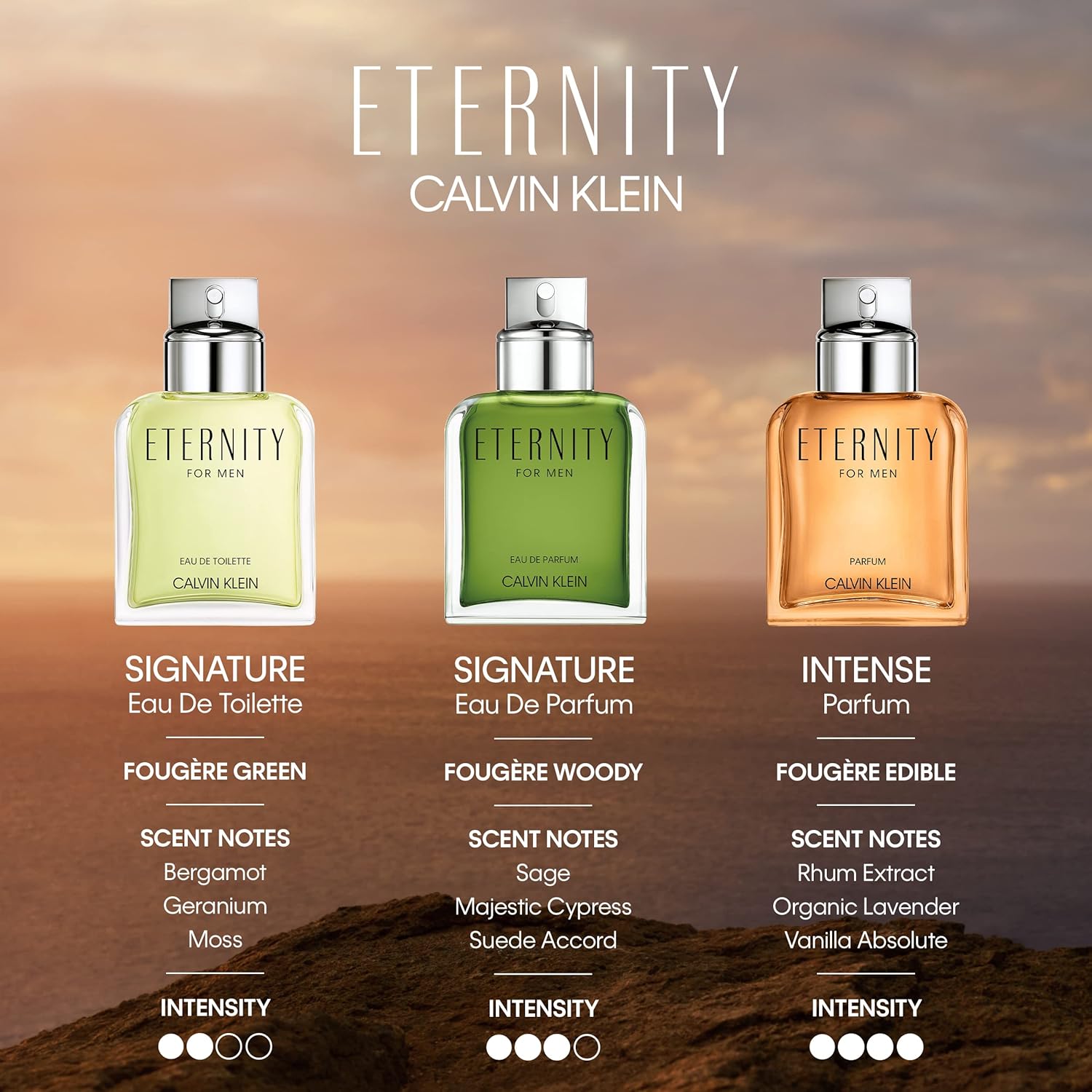 CALVIN KLEIN ETERNITY FOR MEN INTENSE EDP 100ML-4