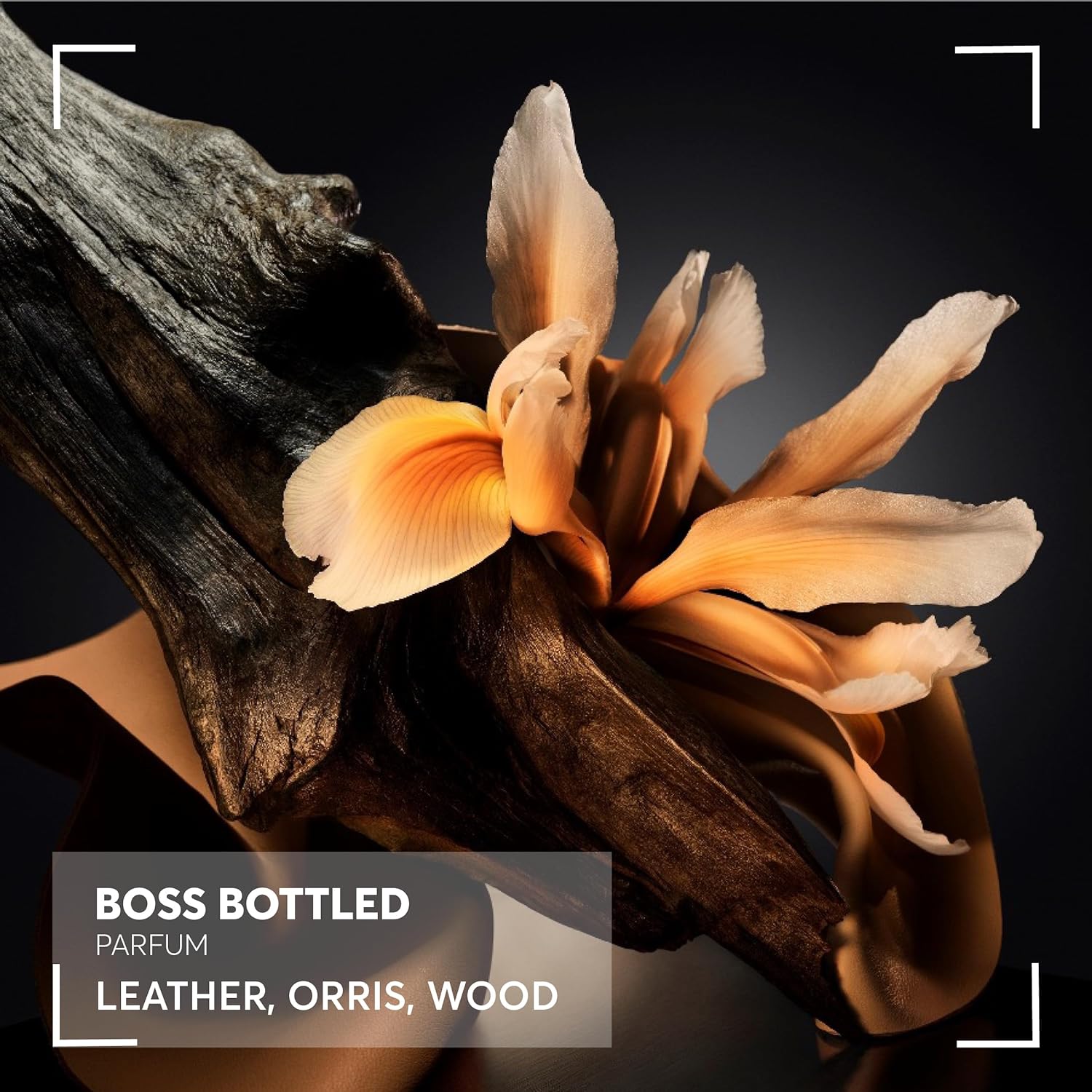 BOSS Bottled Parfum-3