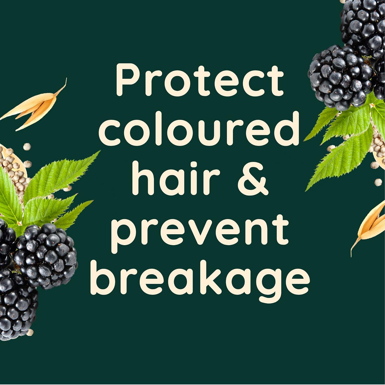 Aveeno Colour Protect Blackberry and Quinoa Scalp Soothing Conditioner for Colour Treated Hair 300ml.-3