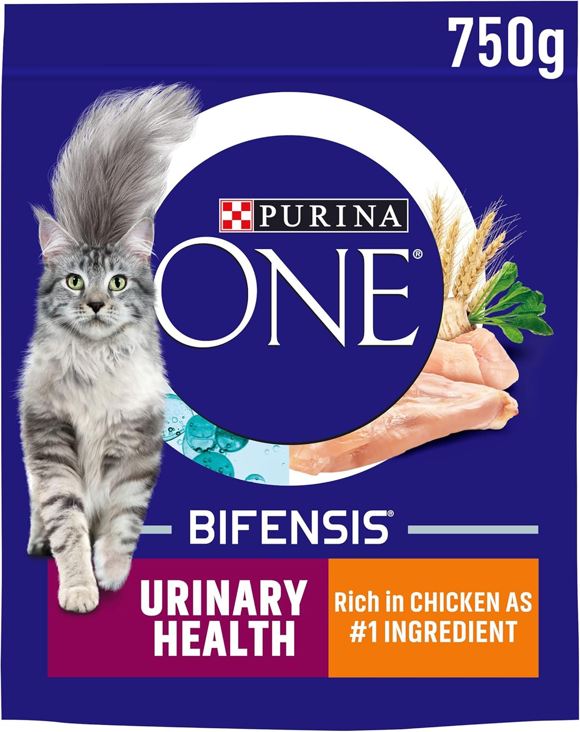 Purina ONE Adult Dry Cat Food Urinary Health, Rich in Chicken 750g , Pack of 4