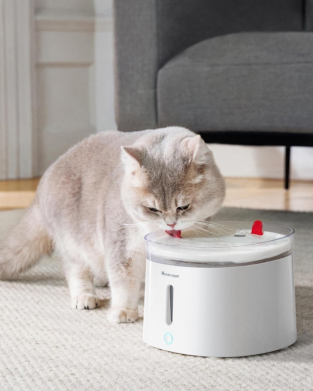 Homerunpet Cat Water Fountain Porcelain-Tray with Self-Cleaning Wireless-Pump, Ultra Quiet Pet Water Fountain for Cats and Dogs, Easy to Clean and Assemble, Filters Included, Smart LED Light, 68oz/2L-5