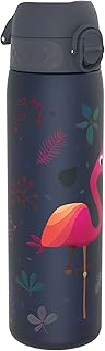 Ion8 Steel Water Bottle, 600 ml/20 oz, Leak Proof, Easy to Open, Secure Lock, Dishwasher Safe, Flip Cover, Fits Cup Holders, Carry Handle, Durable, Metal Water Bottle, Raised Print, Flamingo Design