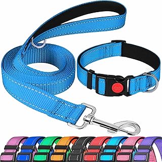 ATETEO Dog Collar,Padded Handle Dog Lead,Double-Sided Reflective Nylon Dog Leash for Training,Walking Leash for Large Dogs,Light Blue(2in1),L:Lead:1.8m x2.5cm (Collar:17.7-27.5 in)