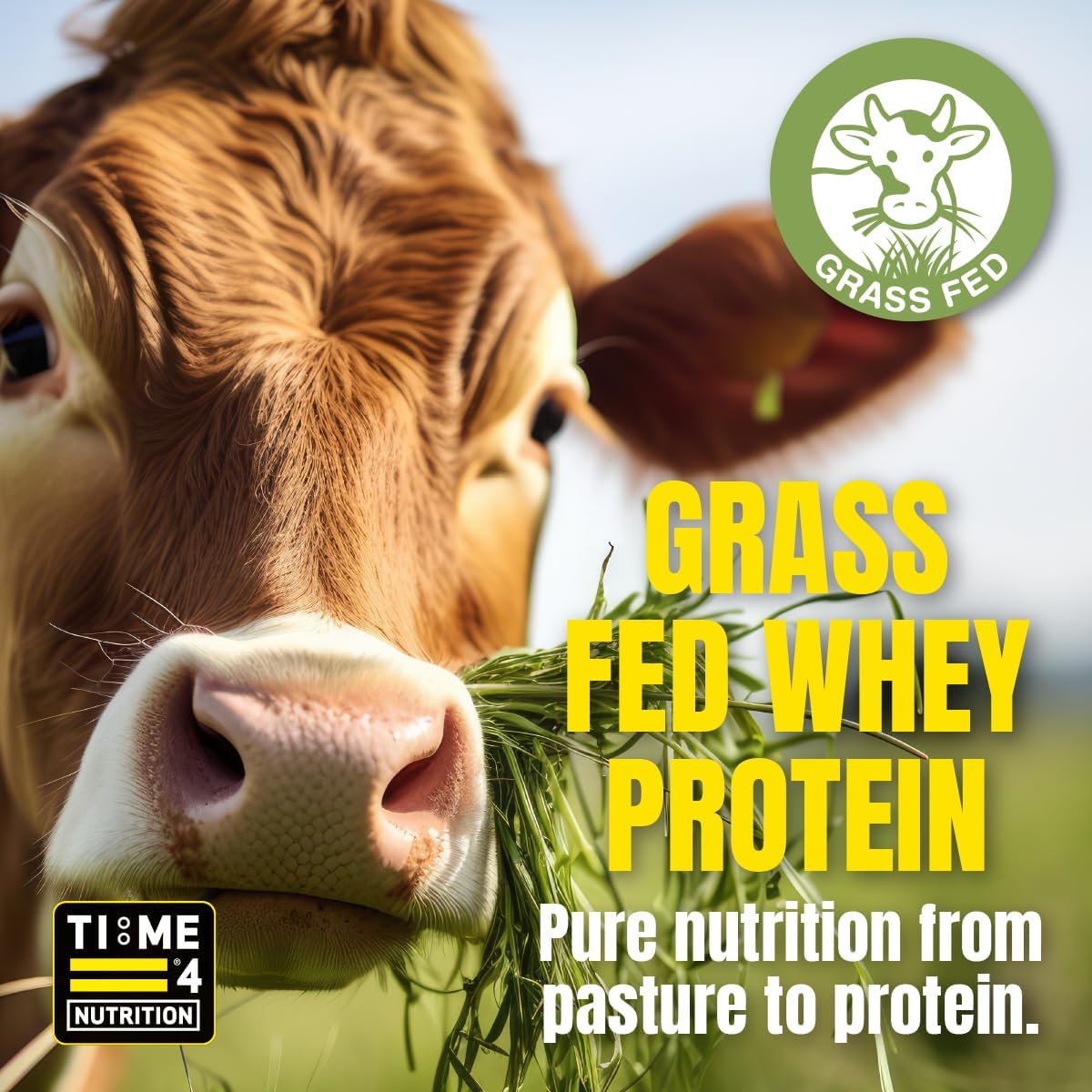 Time 4 Whey Protein Professional Time Release Grass Fed Native Whey Protein Powder, 85% Whey Concentrate, Partially Hydrolysed Whey Isolate, Micellar Casein, Leucine (Strawberries & Cream, 1.8kg Bag)-1