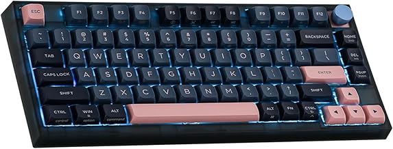 EPOMAKER SKYLOONG GK75 Lite Gasket-like Mount Wired Hot Swappable Programmable Keyboard with A Rotary Knob, Win/Mac Compatible (Blue Pink, Gateron Optical Black)