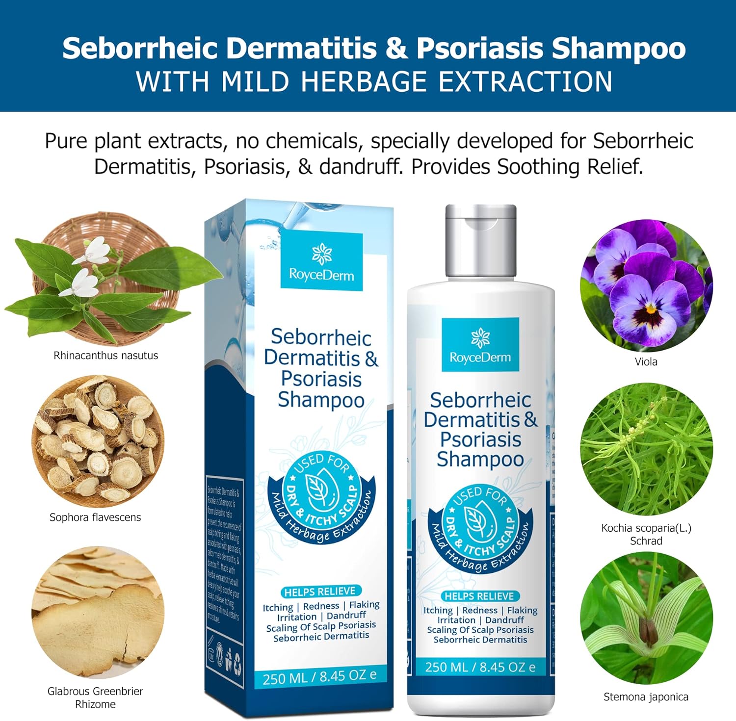 Roycederm Seborrheic Dermatitis Shampoo, Psoriasis Shampoo, Dandruff Shampoo, Scalp Psoriasis Treatment, Seborrheic Dermatitis Treatment, Dry Itchy Scalp Treatment, Dandruff Treatment.-2