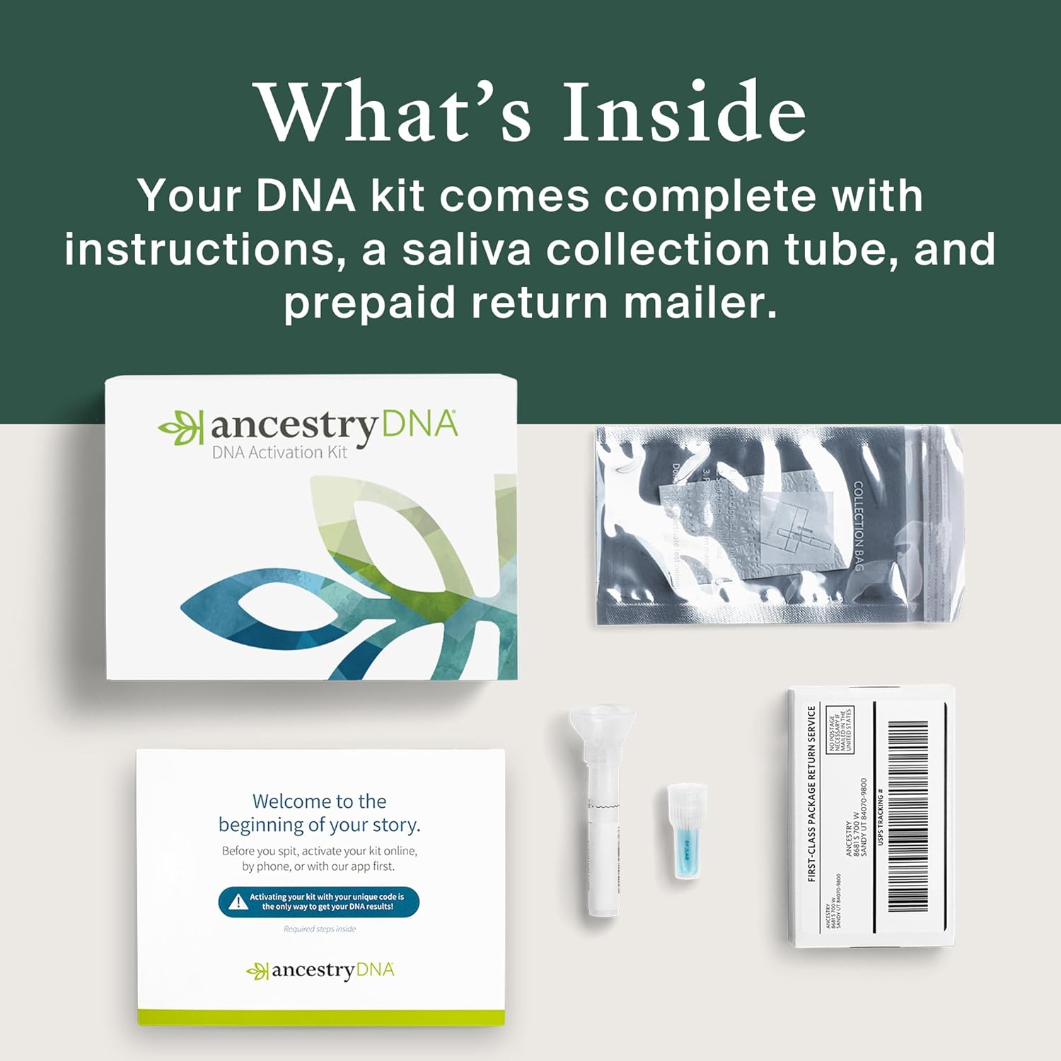 AncestryDNA Genetic Test Kit: Personalized Genetic Results, DNA Ethnicity Test, Origins & Ethnicities, Complete DNA Test, Family History, Complete DNA Test, Ethnicity Reports-7