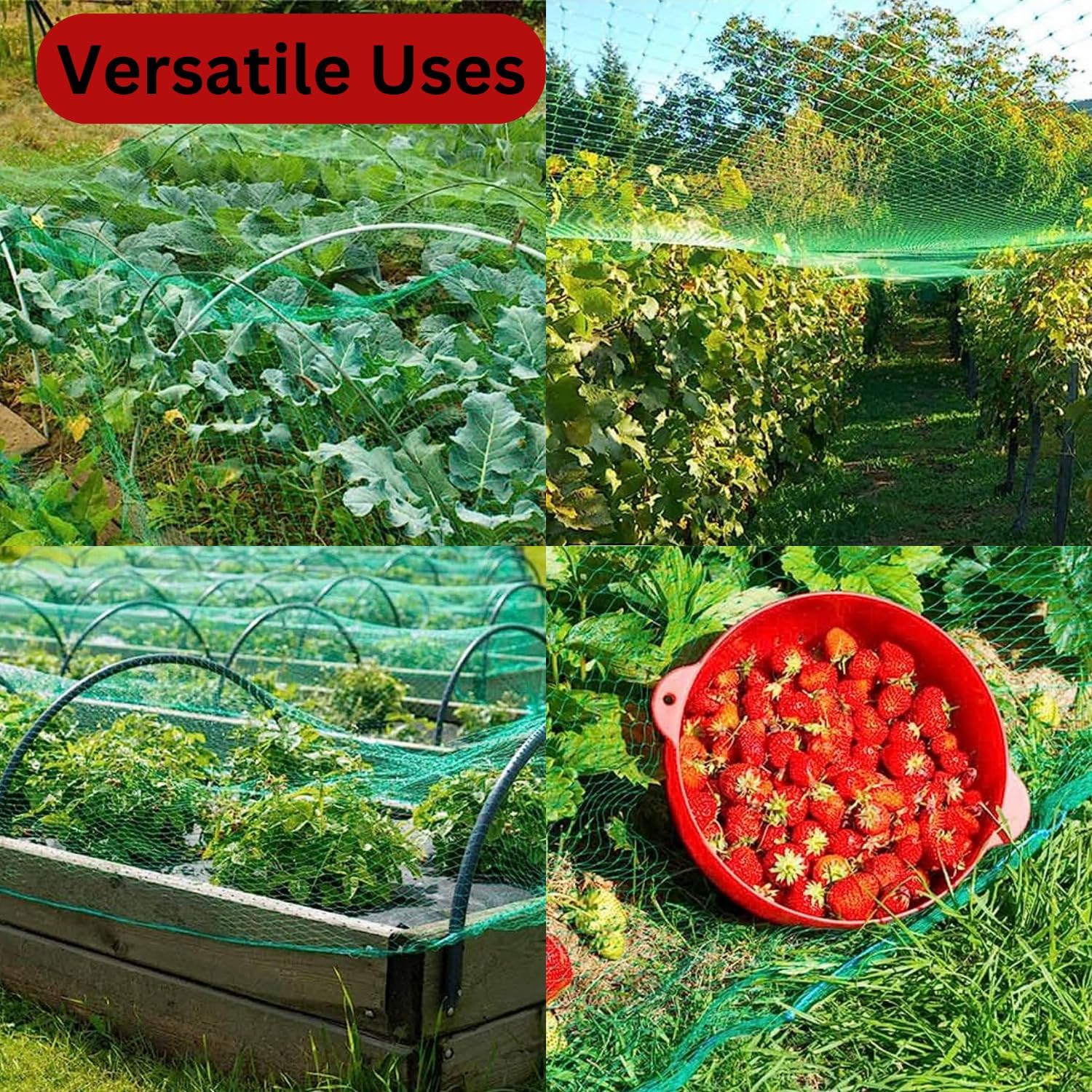 Requisite Needs 4m x 10m Green Garden Netting, Bird Netting Pond Plant Netting for Protecting Fruit Tree Vegetable Patch Flowers Crops Strawberry Pea and Bean.-5