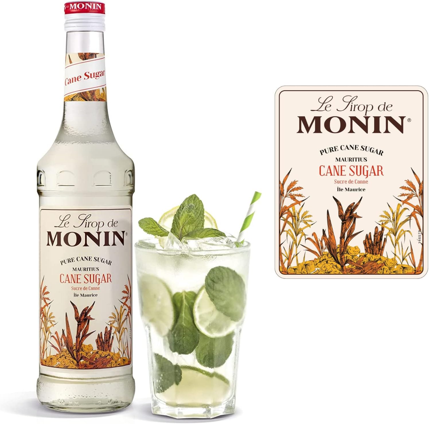 MONIN Premium Pure Cane Sugar Syrup 700 ml & Pump-1