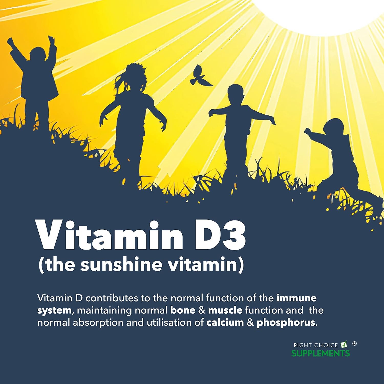 Vitamin D 4000 iu - 1 Year Supply, 365 Easy-Swallow Vitamin D Tablets - Vegetarian Vitamin D3 4000 iu, High Strength Vitamin D Supplement-4