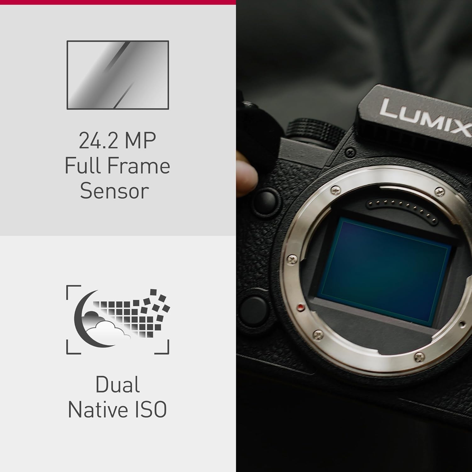 Panasonic LUMIX S5II Full Frame Mirrorless Camera Kit with New Phase Hybrid AF, Active I.S, Unlimited 4:2:2 10-bit recording, 4K 60p and 6K 30p with LUMIX 50mm F1.8 L-Mount lens - DC-S5M2CE-8