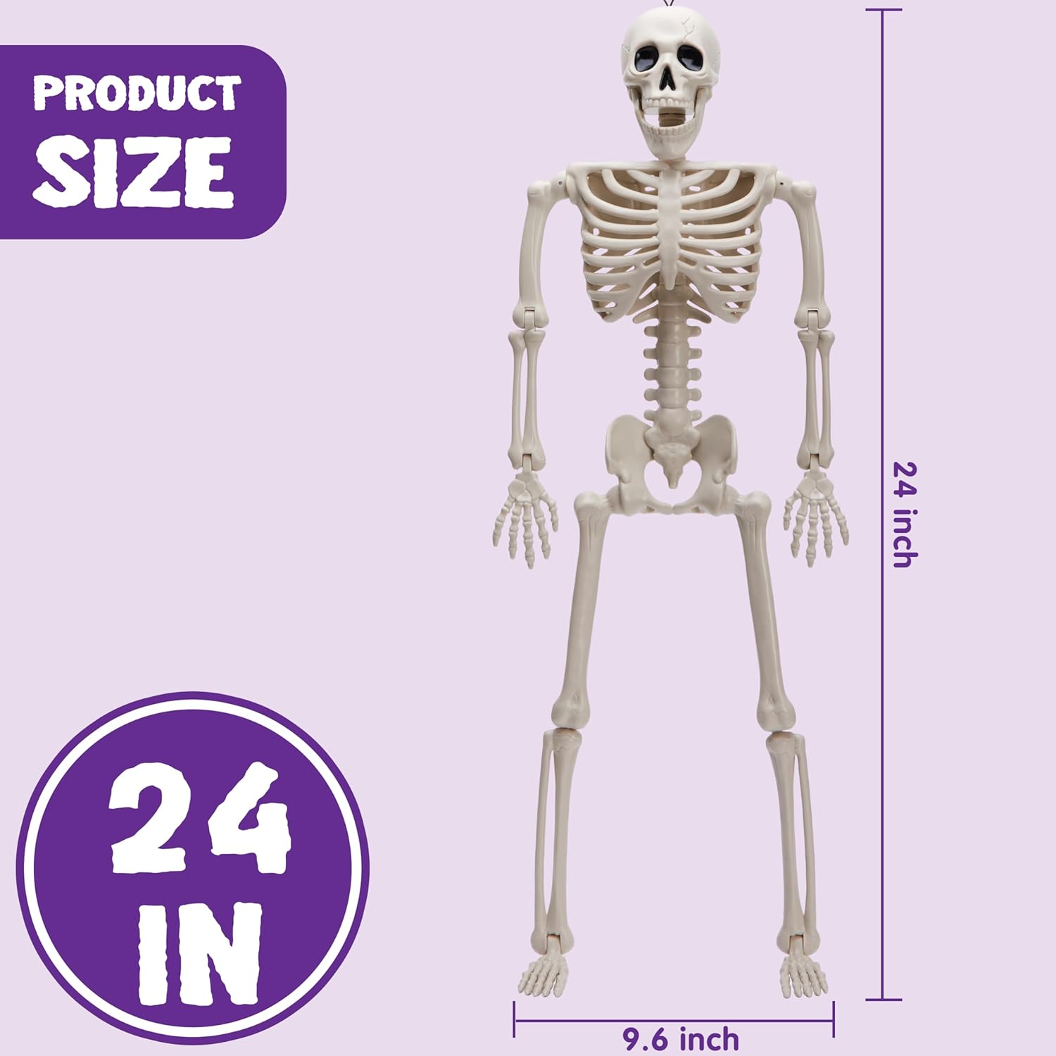 JOYIN 2 PCS 24”(60.9 cm) Halloween Skeletons Full Body Posable Skeletons Human Plastic Bones with Movable Joints for Spooky Halloween Indoor and Outdoor Decorations-2