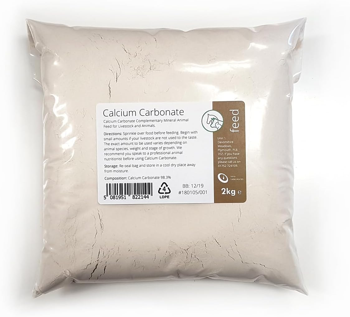 Intralabs - Calcium Carbonate - Ultra Fine Chalk Powder 2kg-0