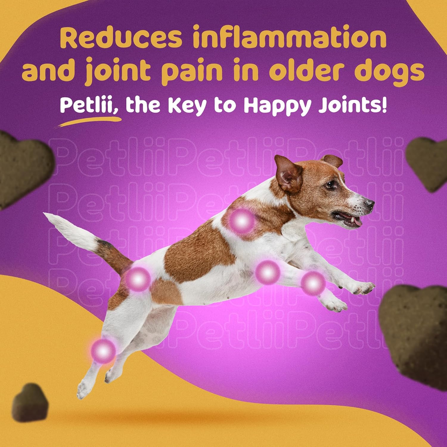 Petlii HIP and JOINT CHEWS - Dog Joint Supplements (120) - Anti Inflammatory for Senior dogs - Arthritis Pain Relief - Glucosamine and Chondroitin - Hip & Joint Care for Dogs-2