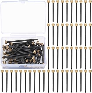 100 Pcs Picture Hanging Nails, Brass Head Wall Pins Nails, Wall Masonry Picture Hook Nails Pins, Wall Pins Tacks Nails for Wall Hanging Picture Photo Frame Wood Working Panel Pins Nails