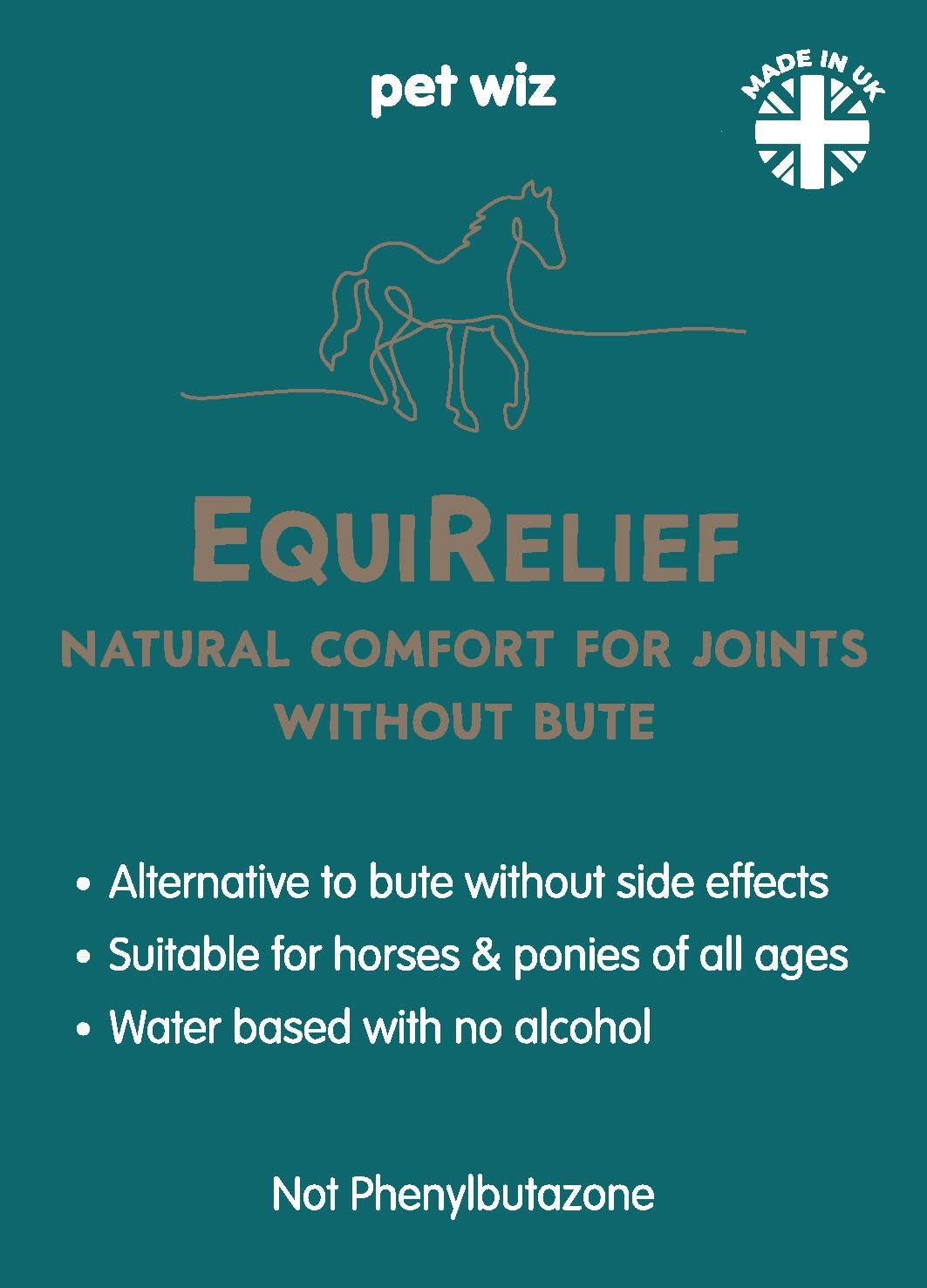 pet wiz EquiRelief - Natural Comfort for Joints Without Bute (2.5L)-2