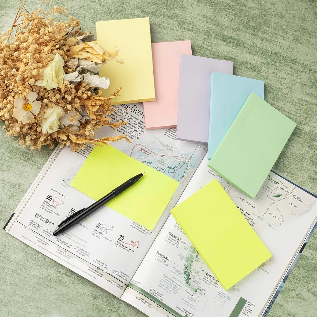 6 Pads - 3 in x 5 in Sticky Notes （76 x 127 mm ）6 Colors Post Self Stick Notes Pads, Pastel Stickies Colorful Super Sticking Memo Pads,Strong Adhesive, 80 Sheets/pad，480 Sheets-4