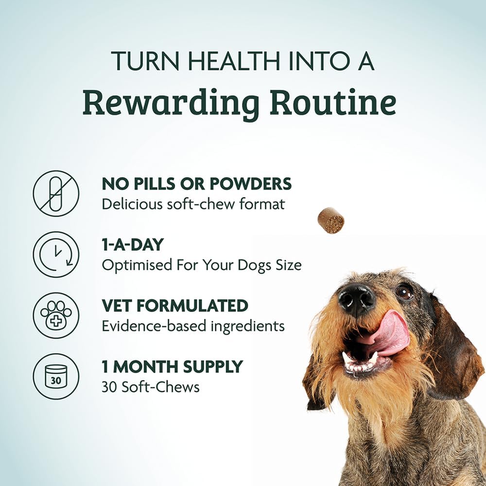 Omni Joint Supplements for Dogs - One-a-Day Dog Chew for Joints and Mobility - Vet Grade Potency with Hyaluronic Acid, Glucosamine and Chondroitin, Omega 3, Vitamin C, 30 Servings, Medium Dog 15-30 Kg-4