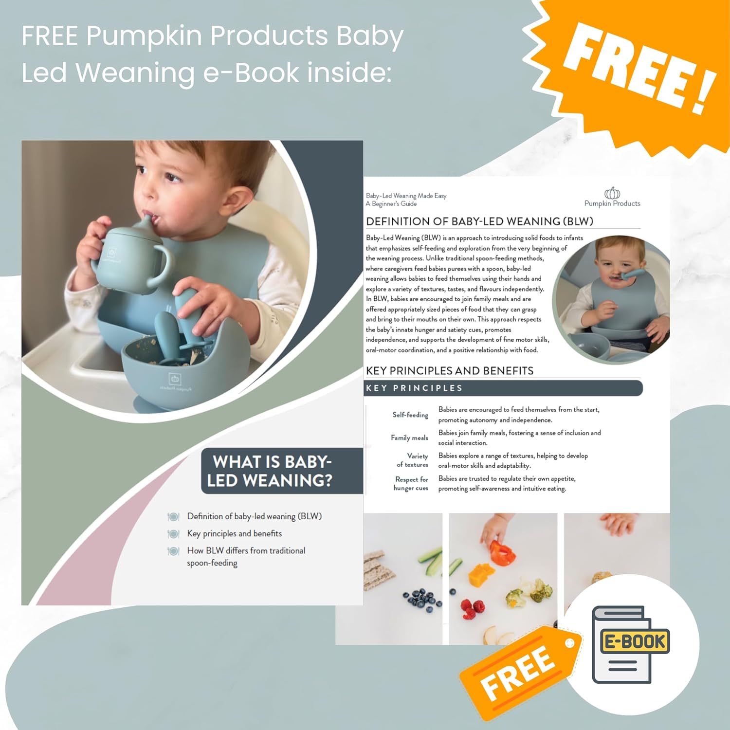 Pumpkin Products® Silicone Baby Weaning Set. Baby & Toddler. Four Suction-Cup Plate, Suction Bowl, Adjustable Bib, Weaning + Stainless Spoon & Fork Sets, Sippy Cup, Collapsible Snack Cup (Sage Green)-6