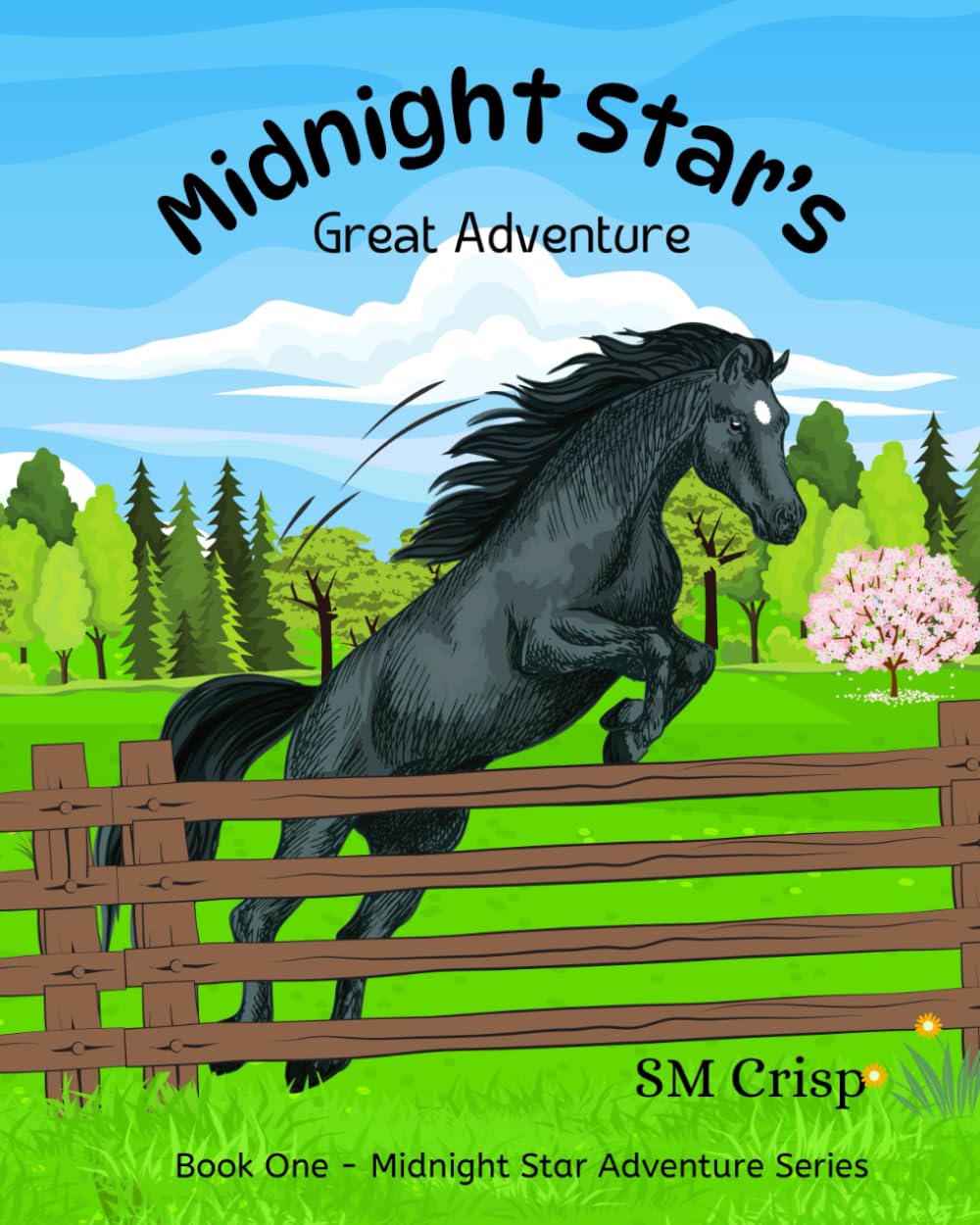 Midnight Star's Great Adventure: A Horse Story for Children: 1 (Midnight Star Adventure Series)-0