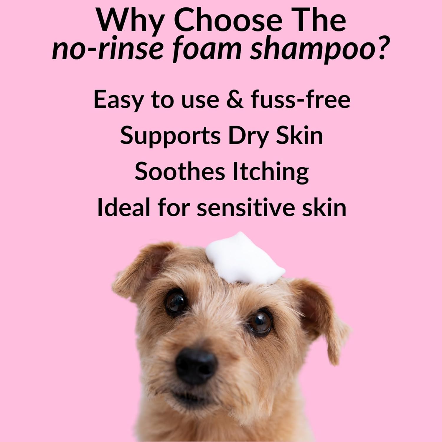 NutriPaw No-Rinse Shampoo for Dogs - Clean, Moisturise, Refresh, & Support Dry Skin - Unique Formula for Nourished Skin & Coat - Ideal for All Breeds-1