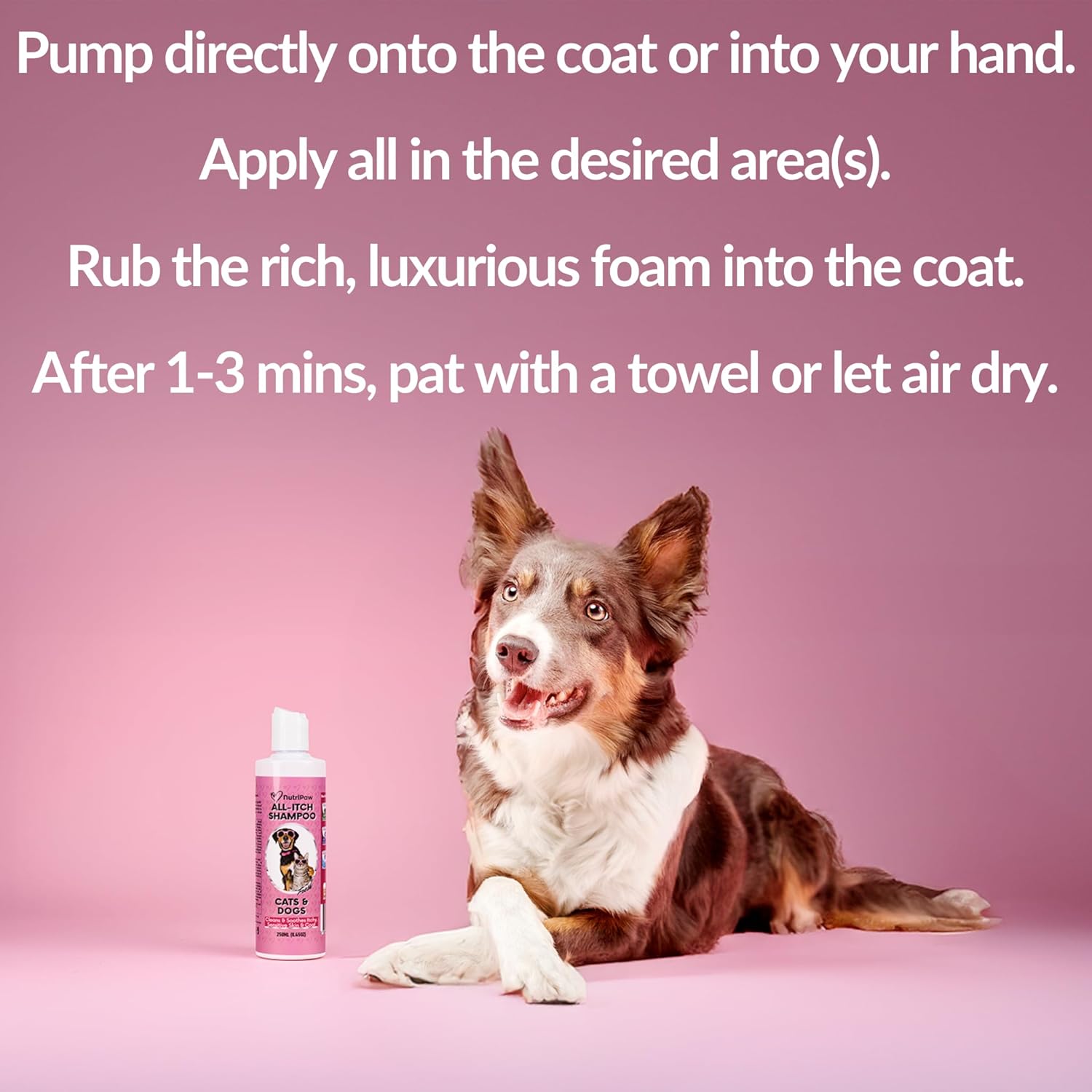 NutriPaw No-Rinse Shampoo for Dogs - Clean, Moisturise, Refresh, & Support Dry Skin - Unique Formula for Nourished Skin & Coat - Ideal for All Breeds-5