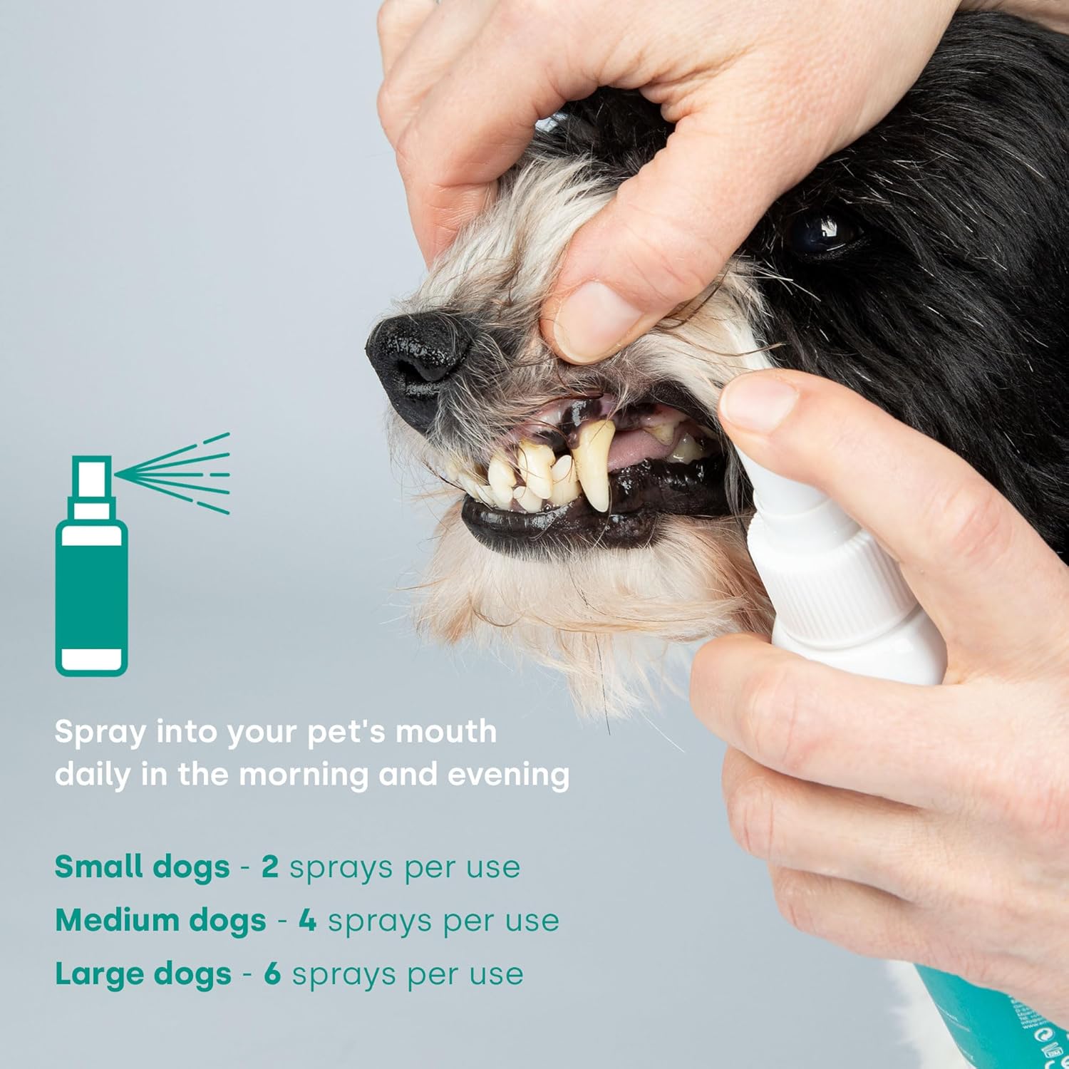 Emmi-pet Dentalspray - Dental Care and Teeth Cleaning for Dogs | Reduces Tartar & Bad Breath | Promotes Fresh Breath | Vegan & Natural, Cruelty-Free | No Brushing Needed 150ml-4