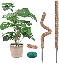 2 Pack Moss Pole for Indoor Plants - 25 Inch Bendable Moss Pole for Monstera, Moss Poles for Climbing Plants, Handmade Coco Coir Pole Plant Support for Creeper Plants Grow Upwards