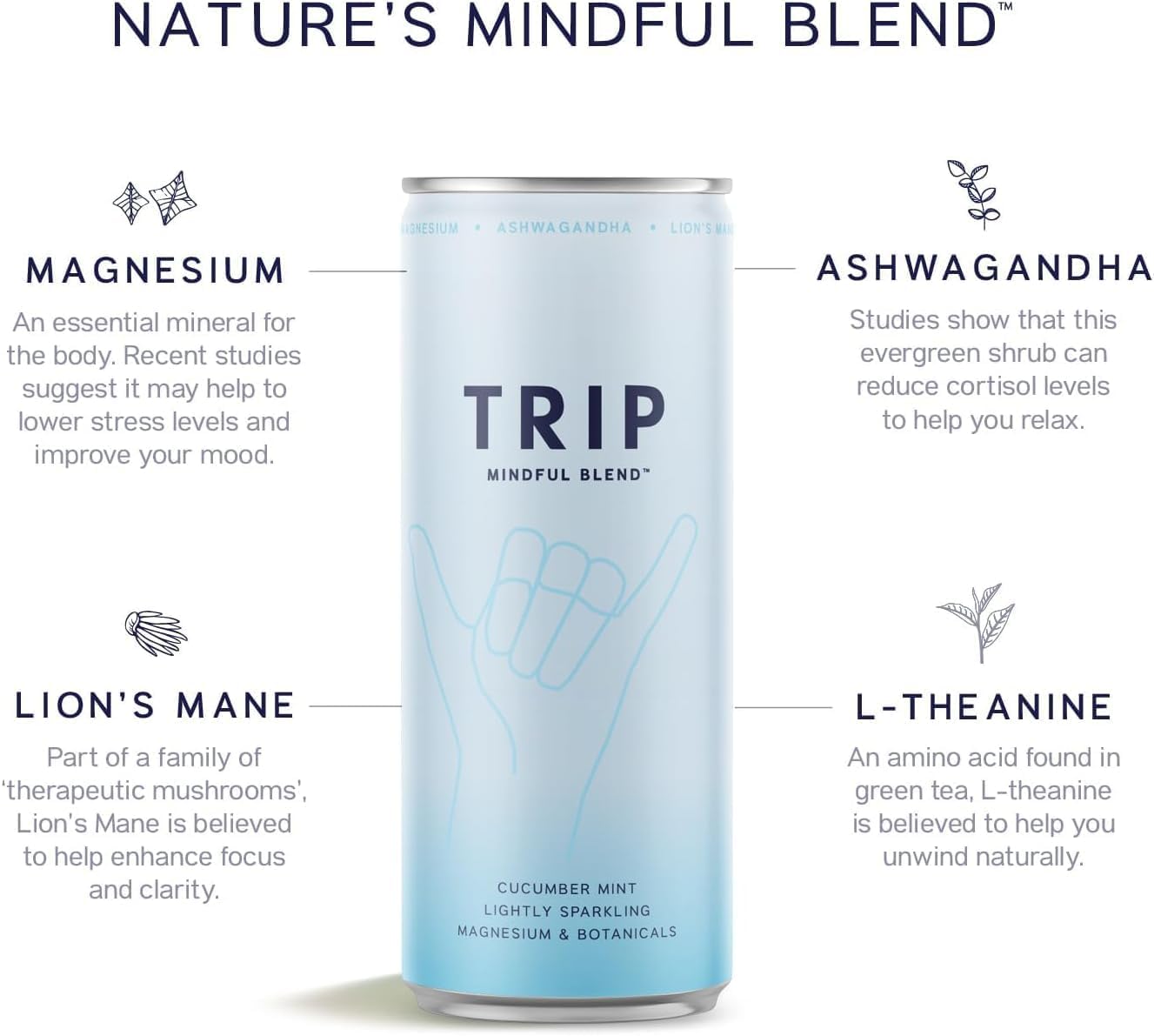 TRIP Mindful Blends - Melon Cucumber Mint Sparkling drink with Magnesium Citrate + Ashwagandha + Lion’s Mane + L-theanine. Low Calorie and Vegan (Pack of 12 x 250ml) - Packaging Might Vary-1