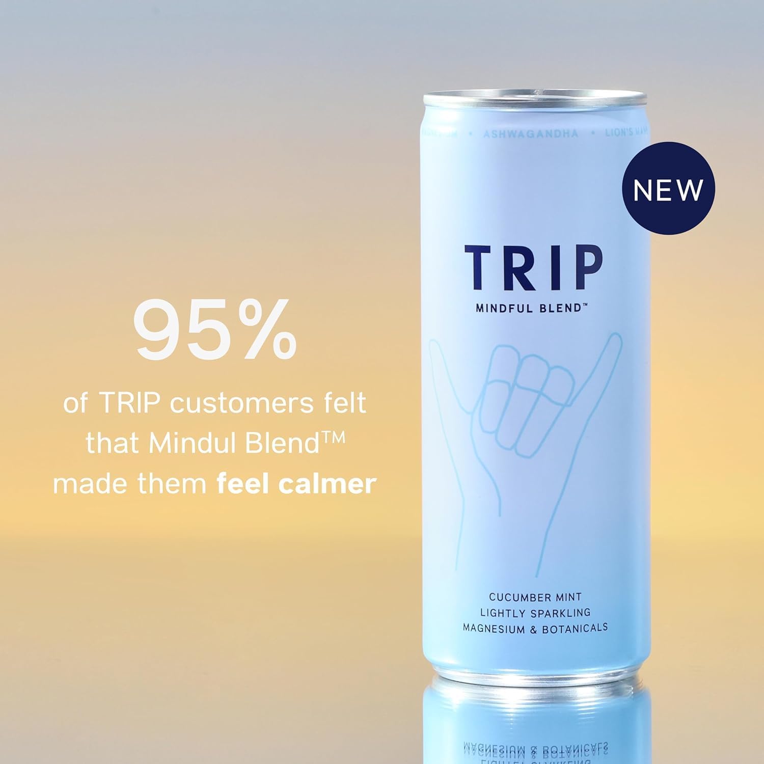 TRIP Mindful Blends - Melon Cucumber Mint Sparkling drink with Magnesium Citrate + Ashwagandha + Lion’s Mane + L-theanine. Low Calorie and Vegan (Pack of 12 x 250ml) - Packaging Might Vary-5