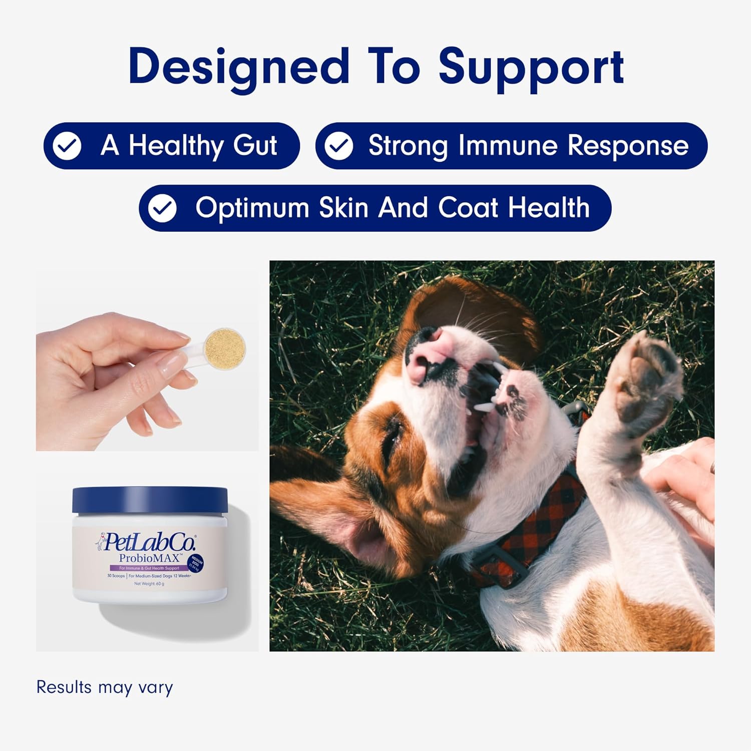 PetLab Co. Probiotic Powder For Dogs - Supports Gut Health & Targets Seasonal Discomfort – Easy to Use – Helps Maintain a Normal Immune Response - Pre, Pro and Postbiotic Formula-7