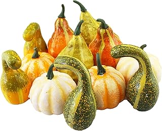 TITA-DONG Artificial Pumpkins and Gourds, Set of 12 Fake Pumpkin Model, Halloween Foam Props, Artificial Vegetables for Decorating Fall Craft Thanksgiving Wedding Centerpieces(#1)