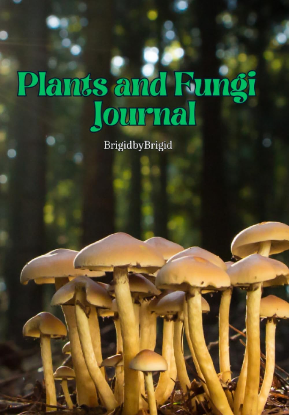 Plant and Fungi Journal-0