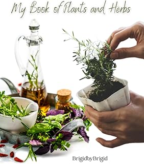 My Book of Plants and Herbs