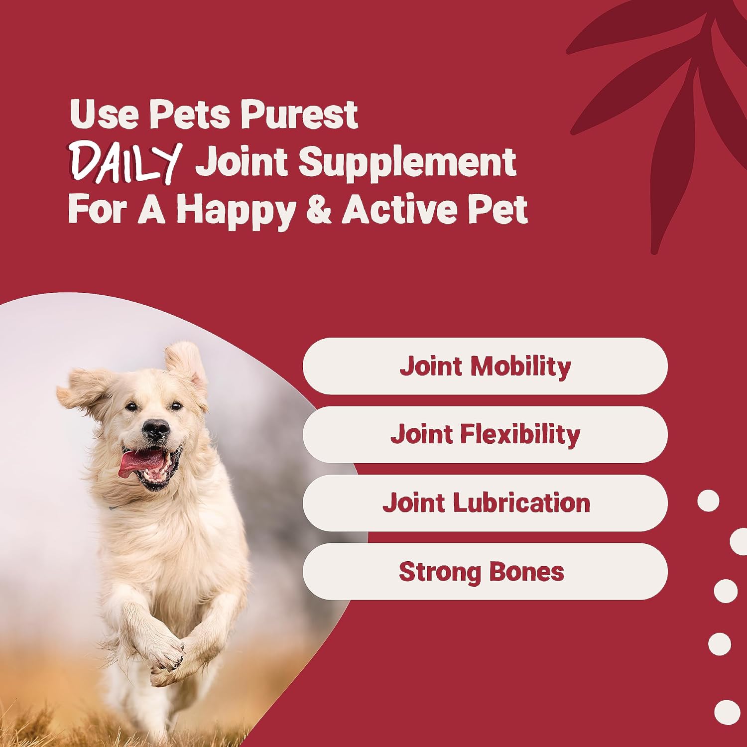 Pets Purest Joint Supplement for Dogs. Daily Joint Aid Supplement with Turmeric for Dogs Joint Care, Mobility and Flexibility. Rich in Omega 3,6,9. Suitable for Dogs, Cats and Pets-1