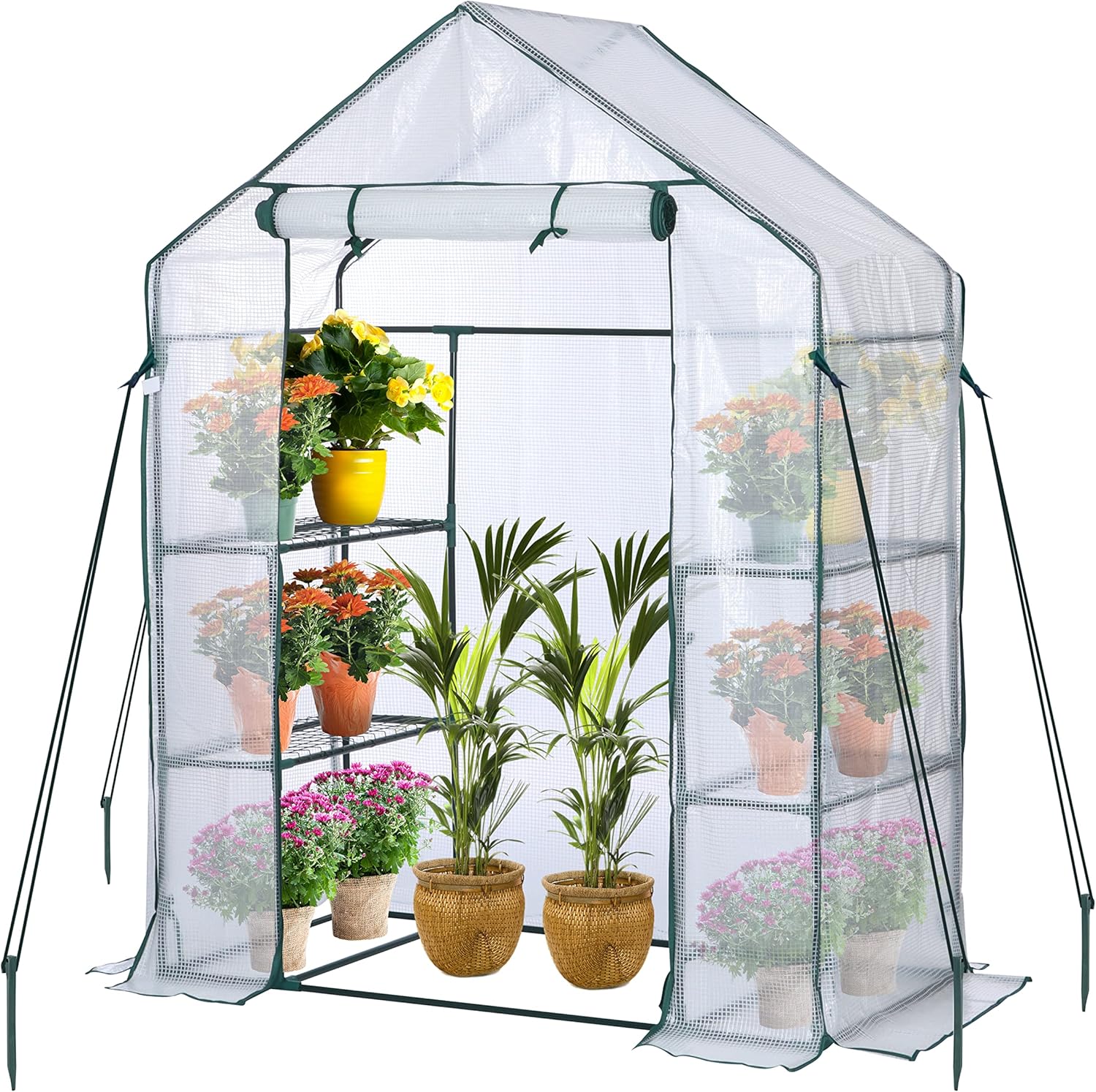 JUNGLE STONE Walk In Greenhouse with Steel Frame and Reinforced PE Plastic Cover 3 Tier 4 Wired Shelves Greenhouse Plant Nursery for Small Gardens, Patios, Perfect for Tomato Growing Easy to Assemble-0