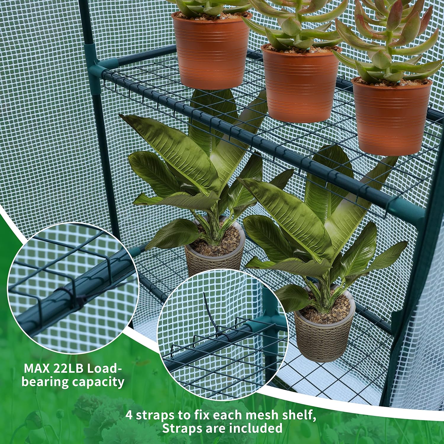 JUNGLE STONE Walk In Greenhouse with Steel Frame and Reinforced PE Plastic Cover 3 Tier 4 Wired Shelves Greenhouse Plant Nursery for Small Gardens, Patios, Perfect for Tomato Growing Easy to Assemble-6